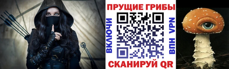 Купить где Володарск Галлюциногенные грибы GOLDEN TEACHER